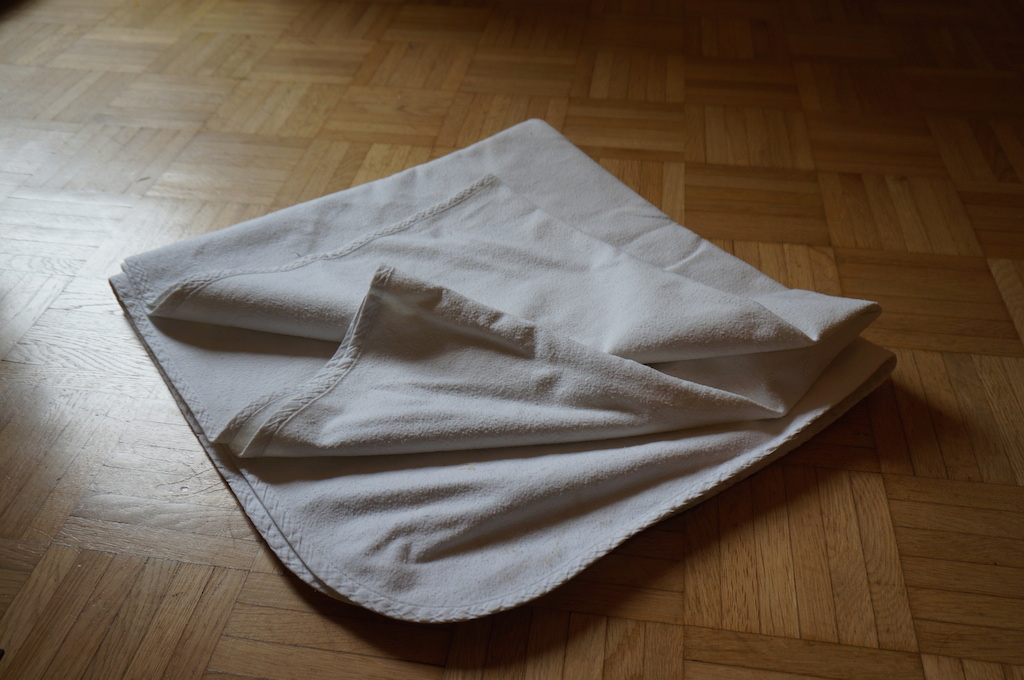 Auslauf für Meerschweinchen in der Wohnung