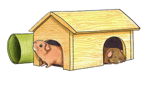verm m haus