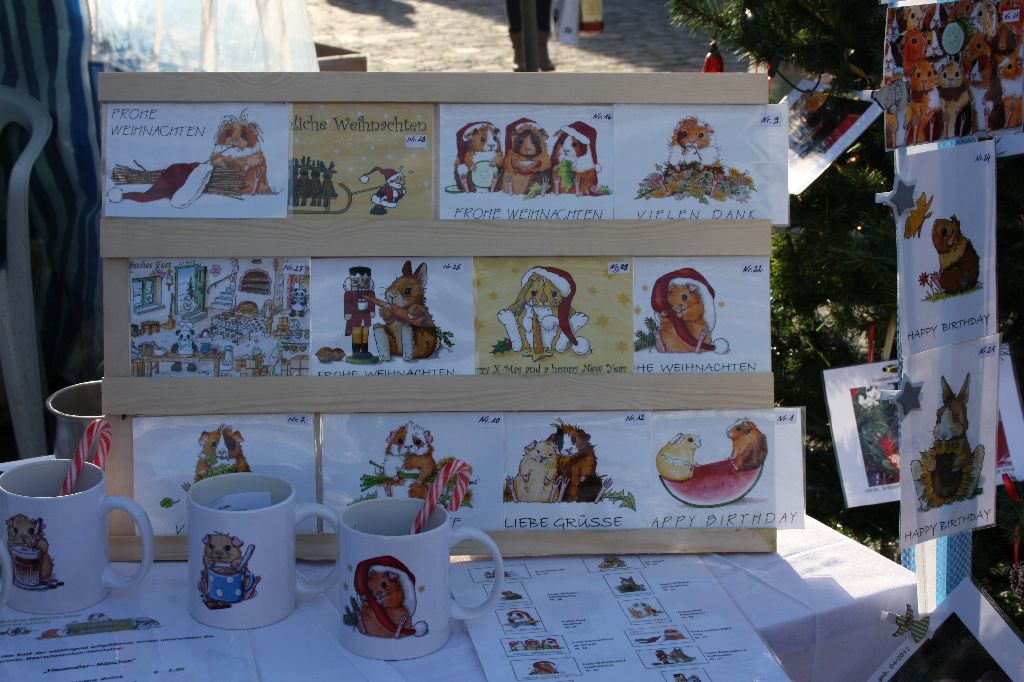 Infostand Riem 08.12.1312