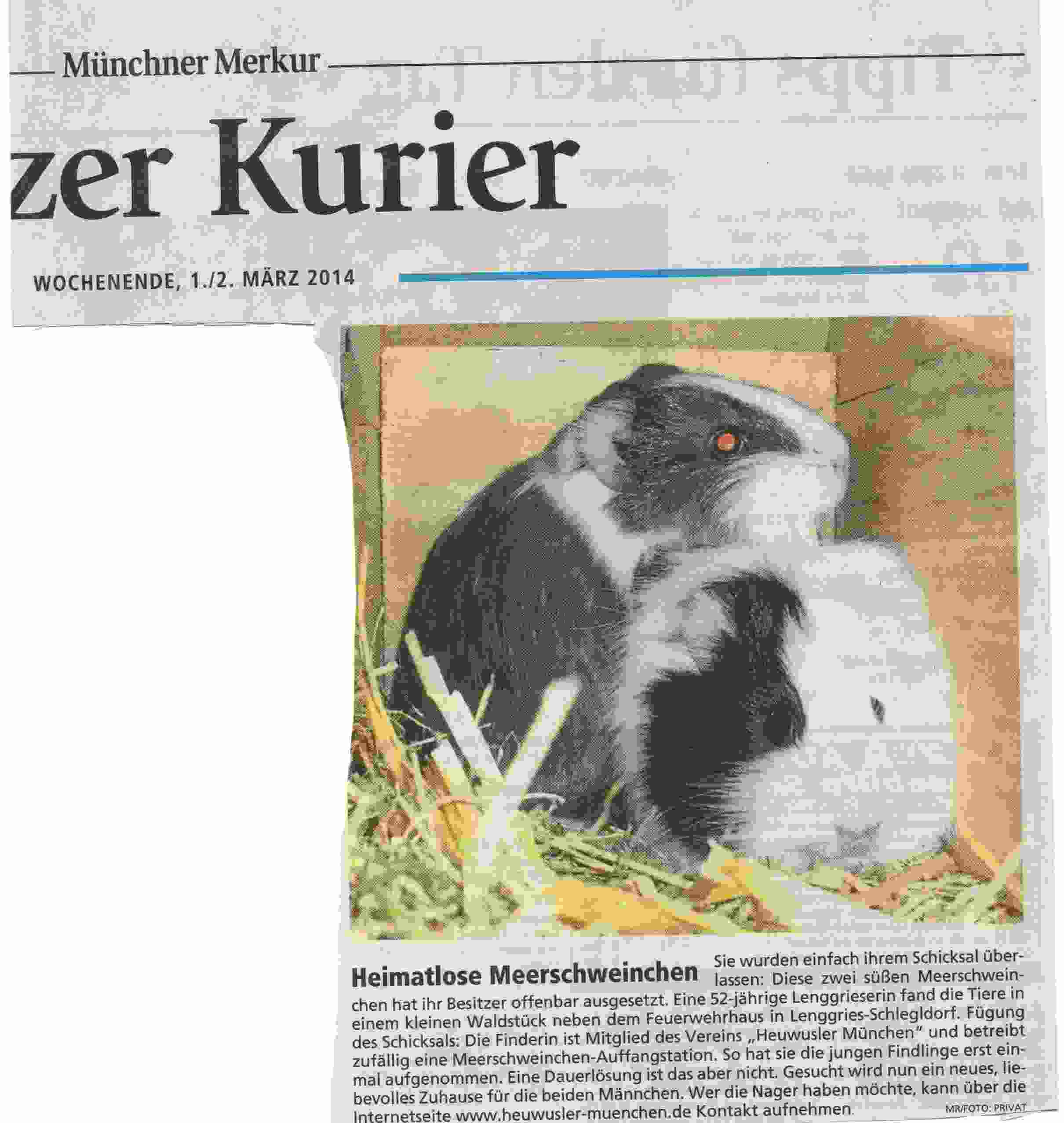Artikel1
