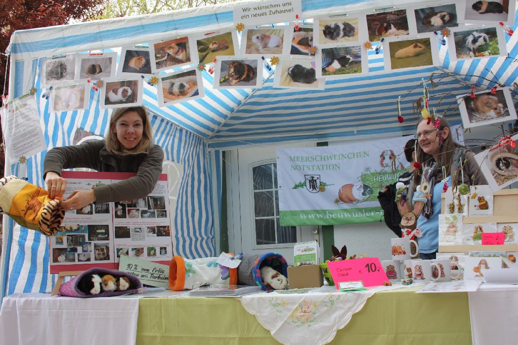 Frühlingsfest Tierheim 201421