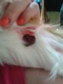 f20t434p5064n3-thumb