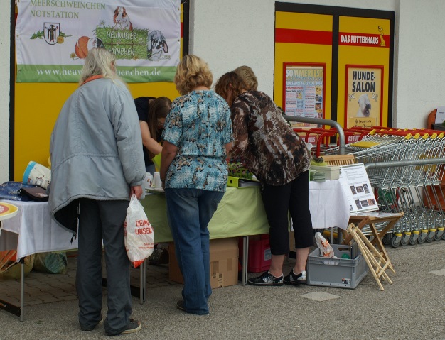 stand 1