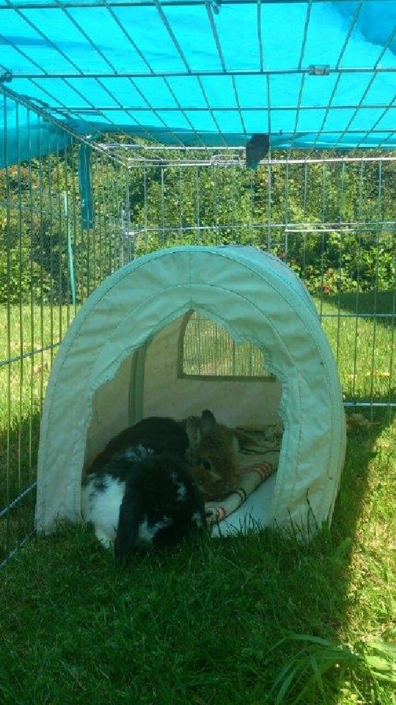 DritterFruehling02