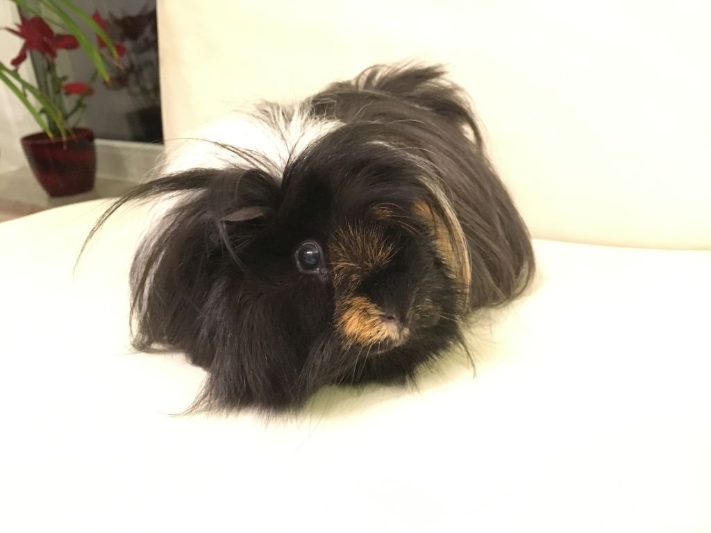 Roxy160430 01