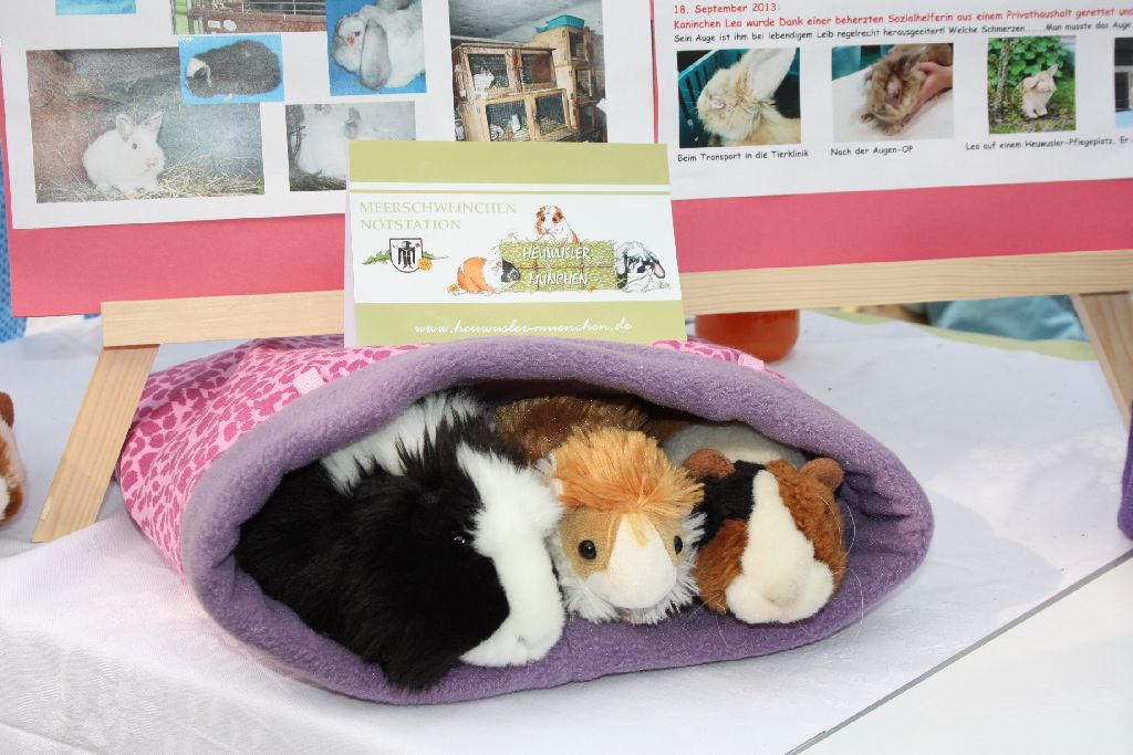 Kuschelsachen