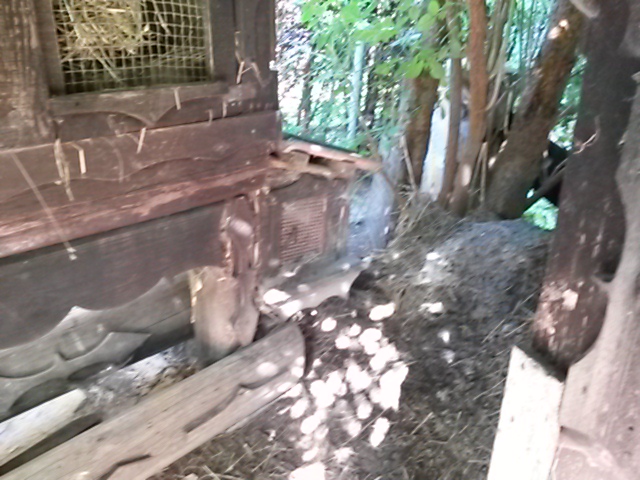 RottamInn 5