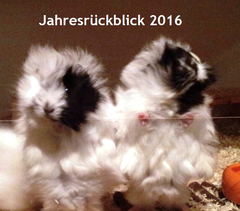 Rueckblick2016