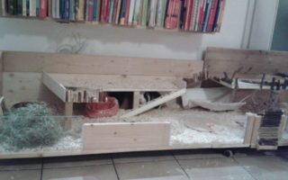 PaulMathilda1711132