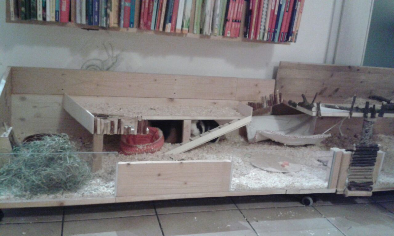 PaulMathilda1711132
