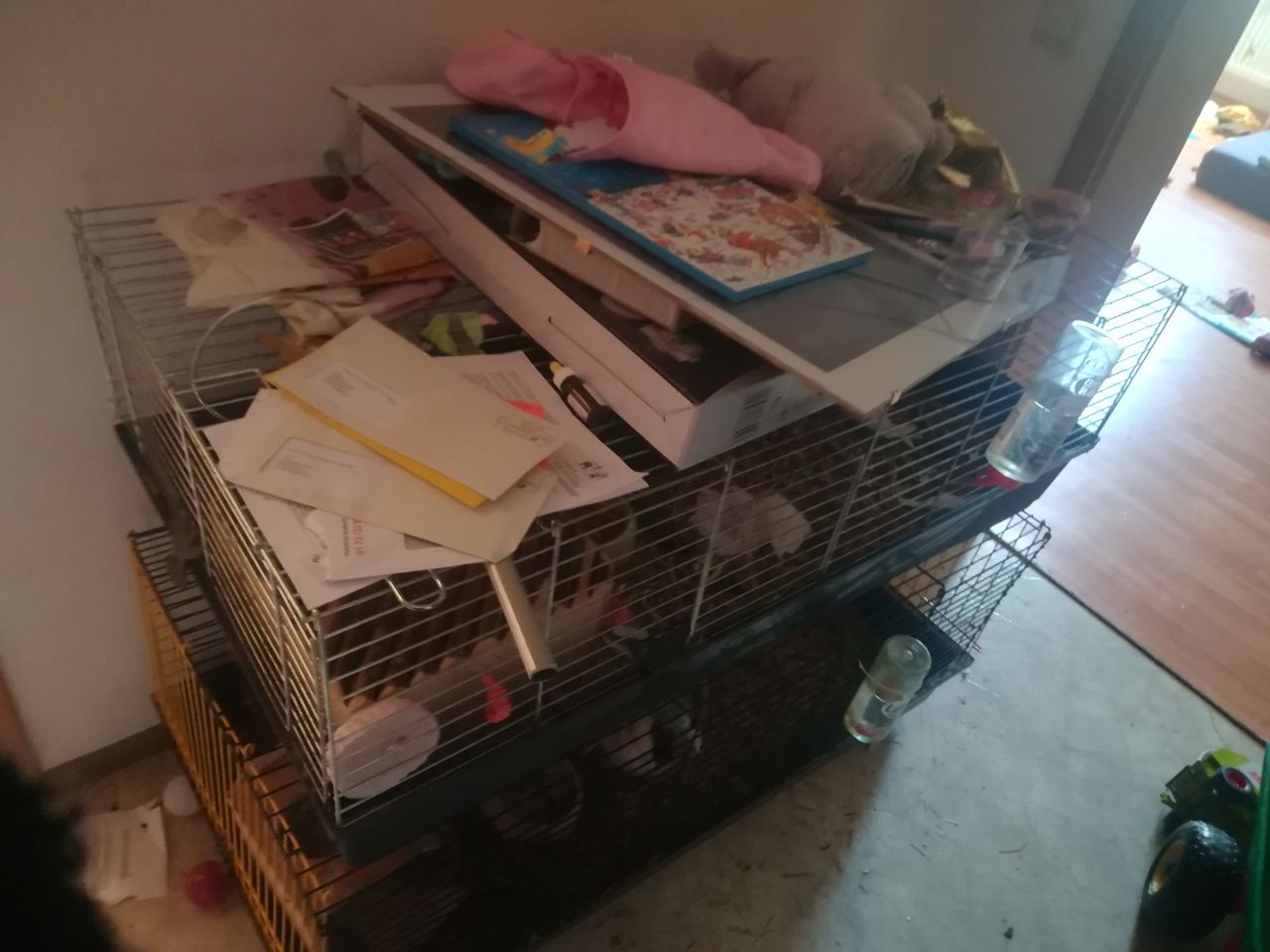 KaninchenRaitenbuch