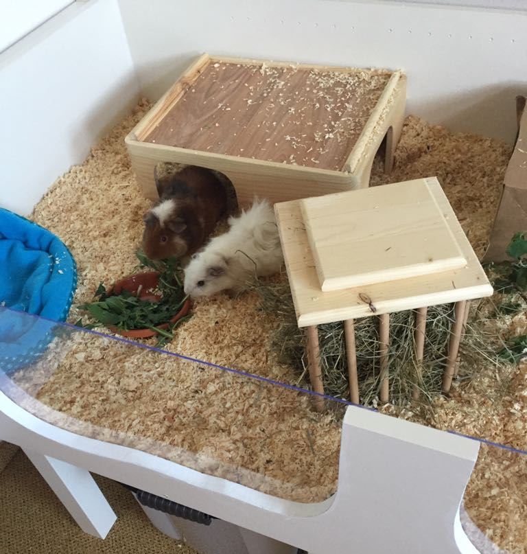 MonroePeeches18042301