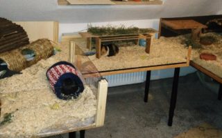 Lottchen1801142