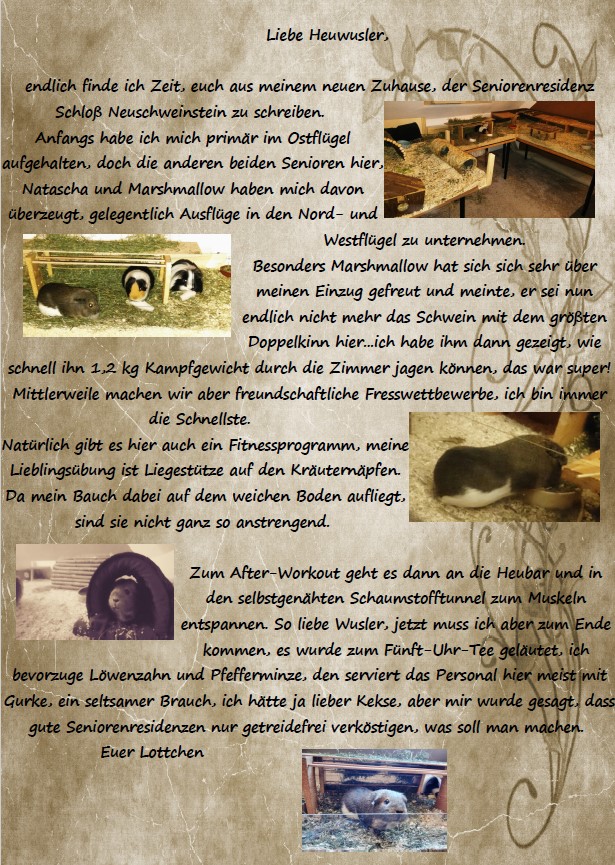 Lottchen18031301