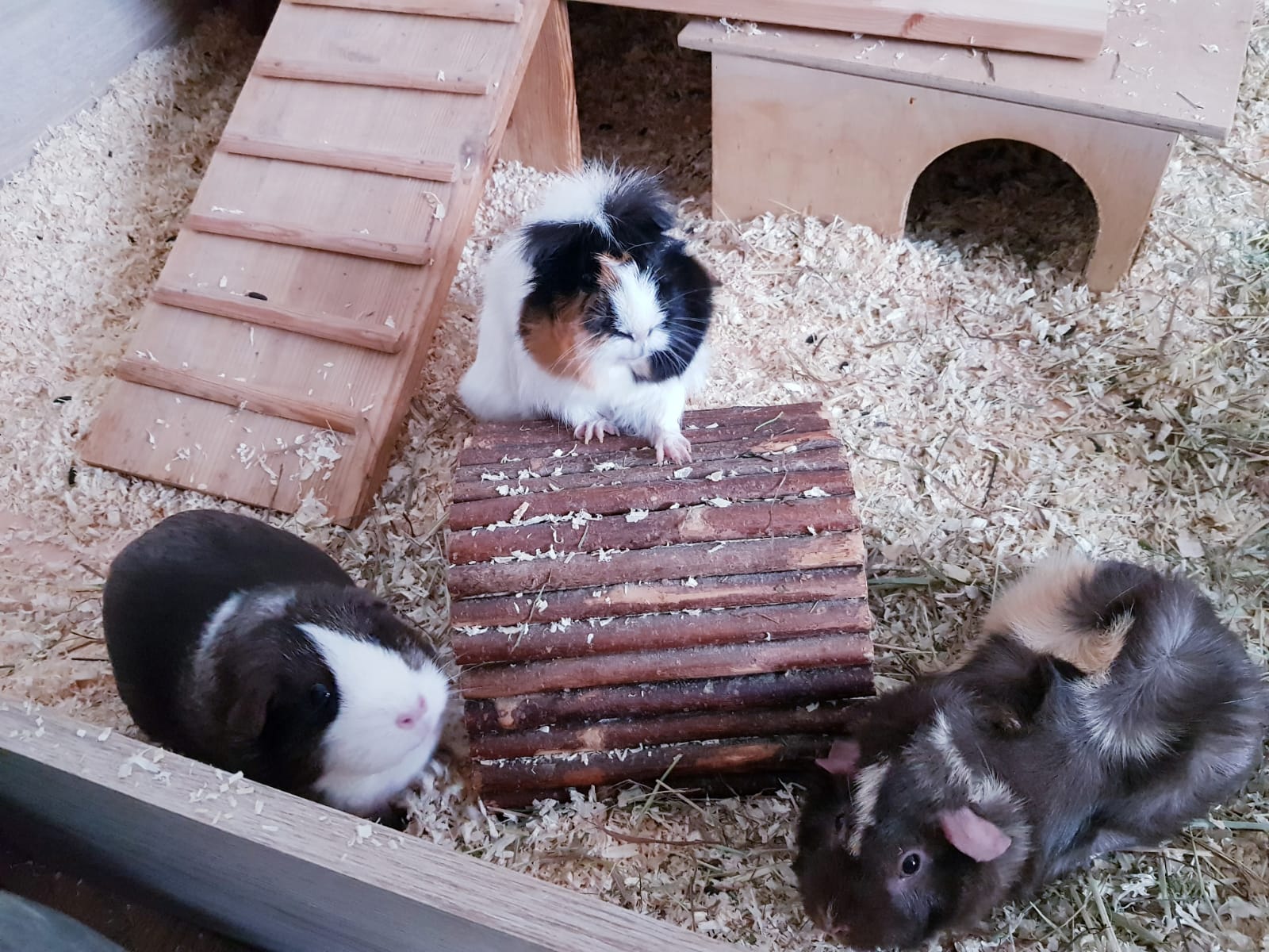 MeadowTabitha18122201