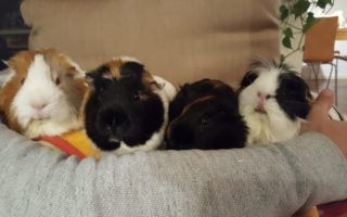 SantosLillyRavena18102201