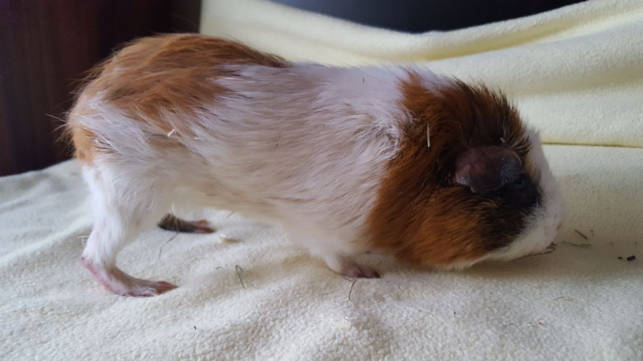 Eddy1802273