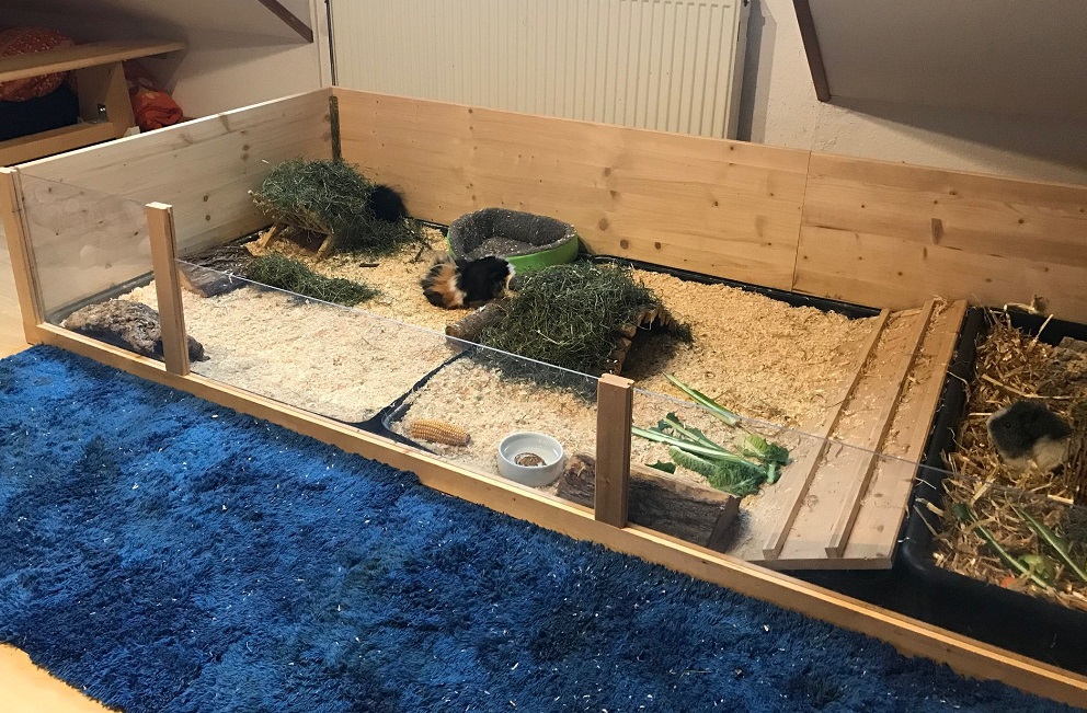 Bento18102802