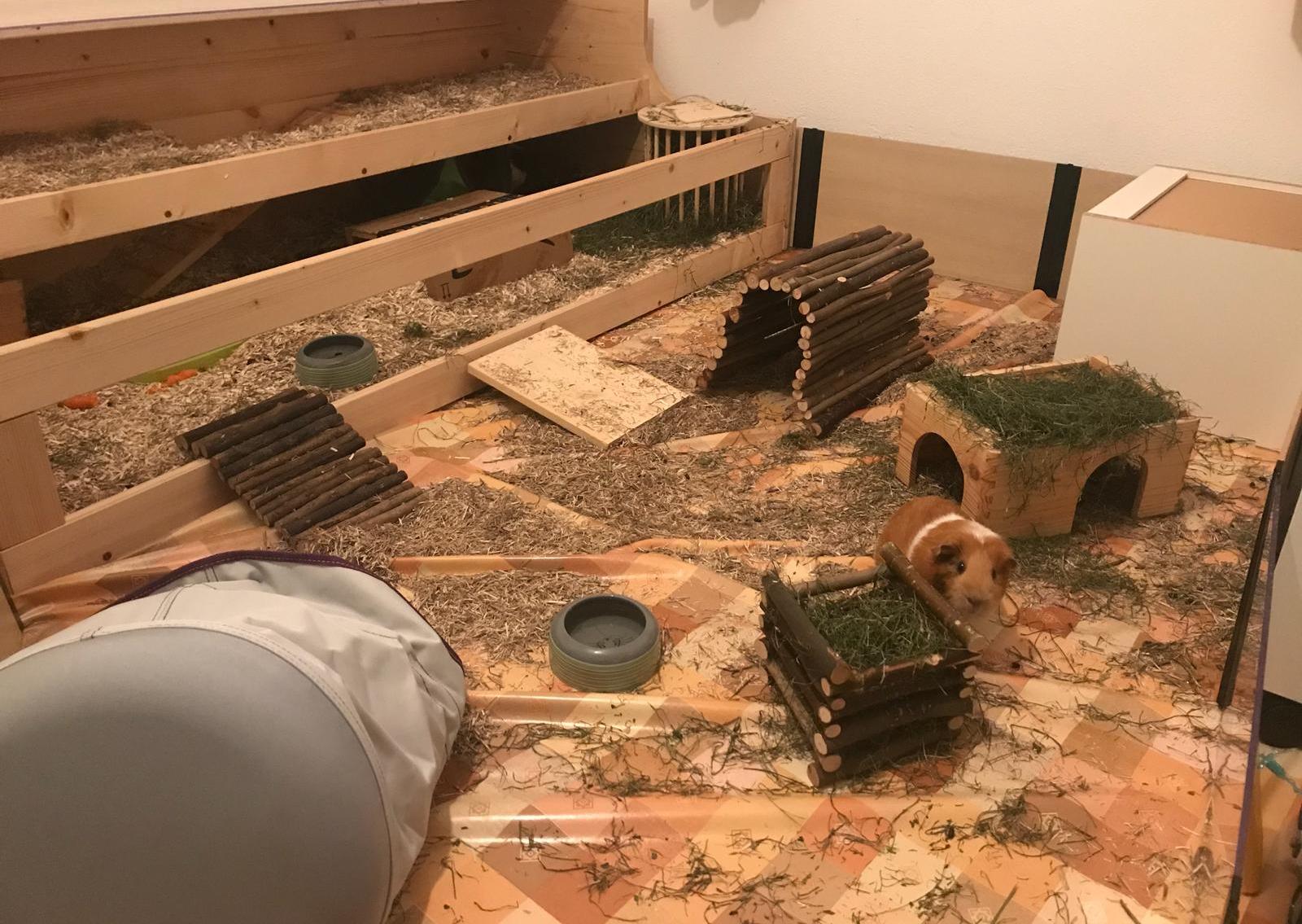 MericLila18101003