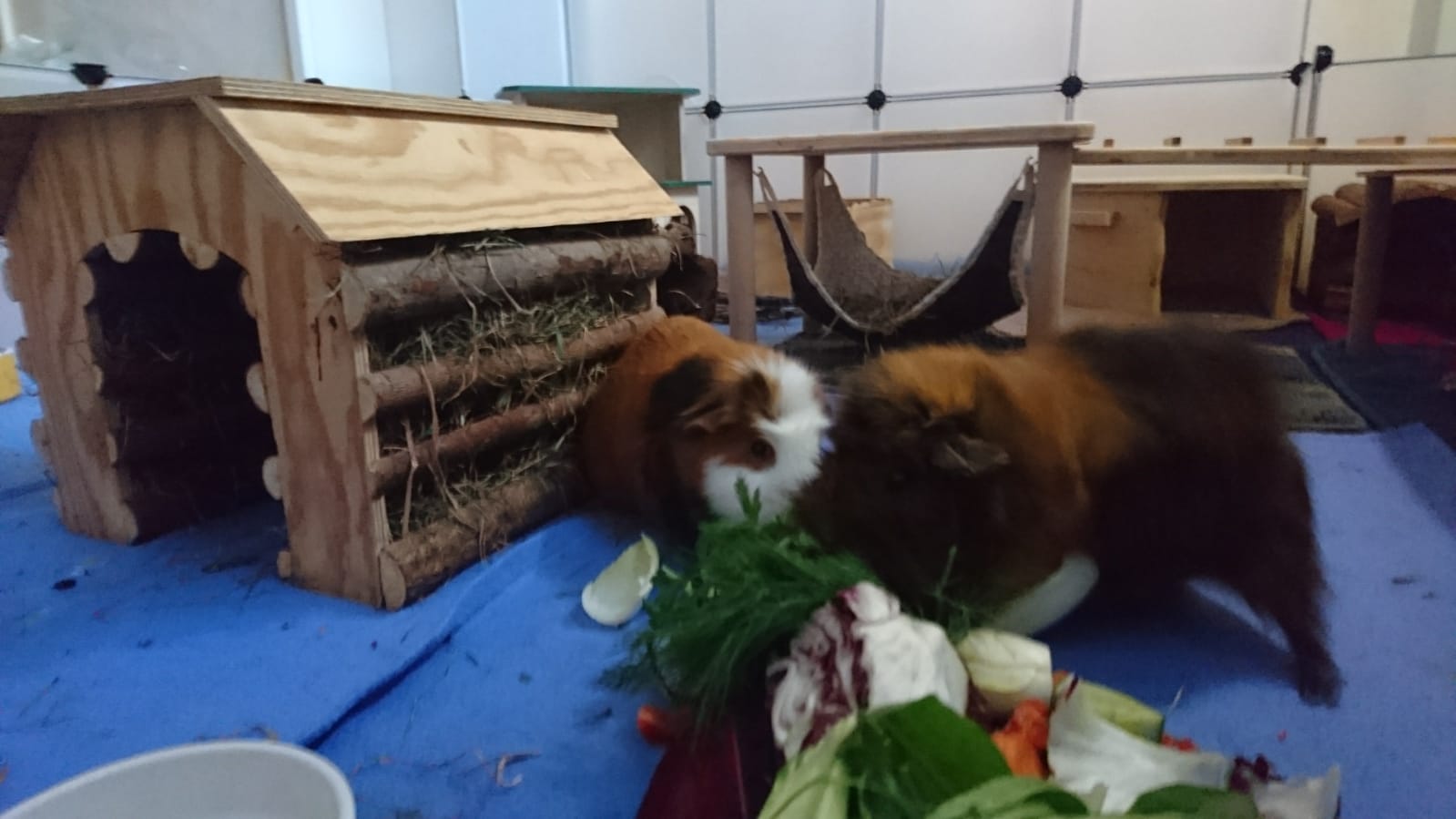 Charlie18102902
