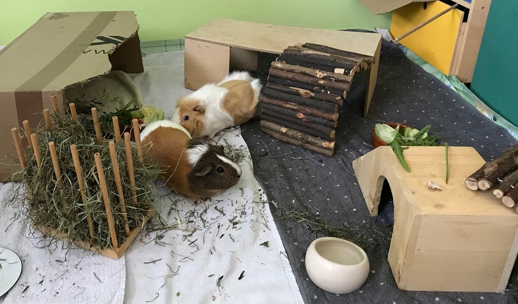 Goldie18091404