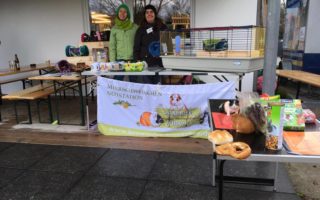 TierheimWinter201801