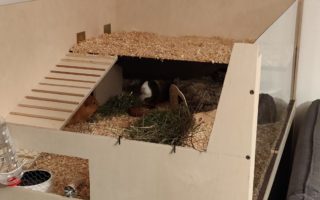 MarcoSchnipsi19011505