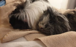 Wilma19041404