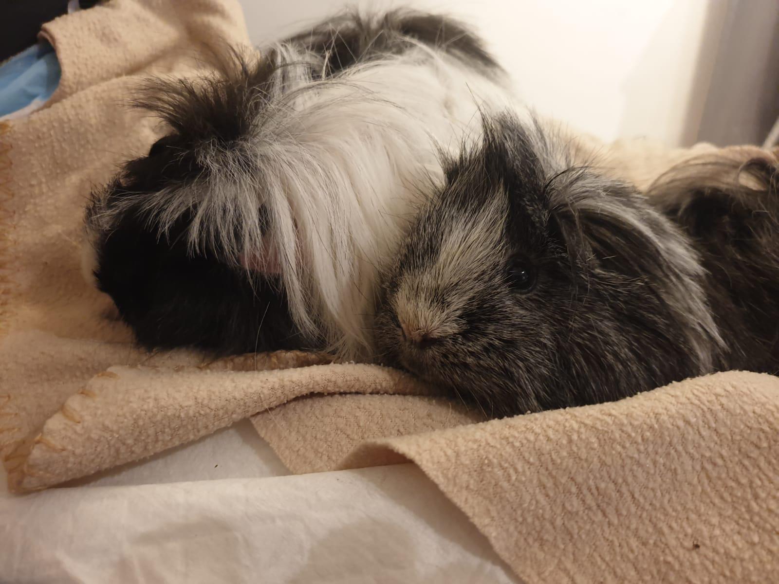 Wilma19041404