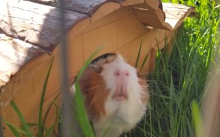 Cleo19052502