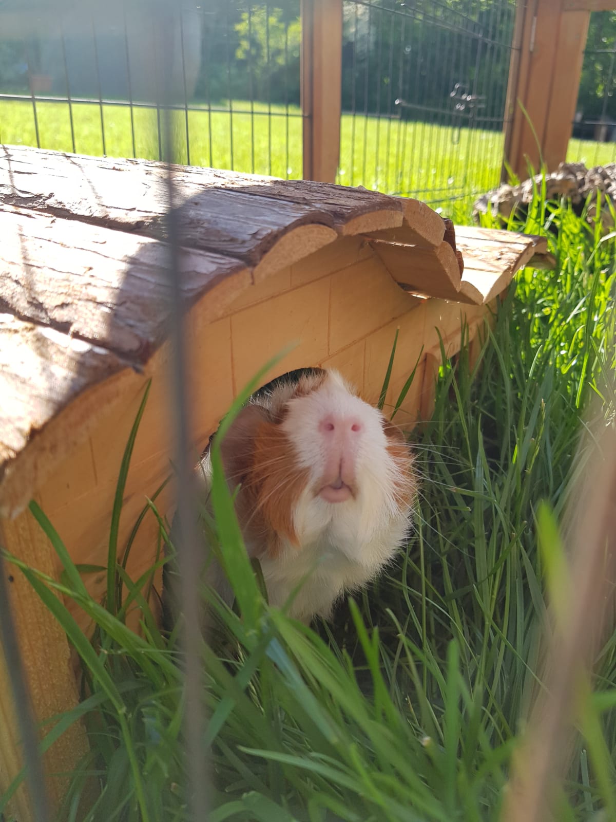 Cleo19052502
