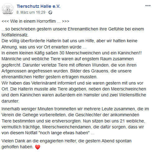 HalleFacebook