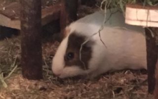 Margarete19052201