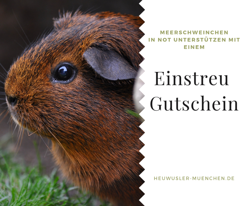 Einstreugutschein