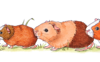 logo gaensemarsch