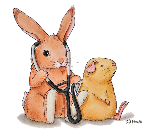 logo gesundheitscheck