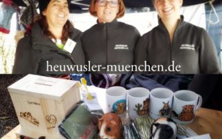 201910061InfostandHerbst