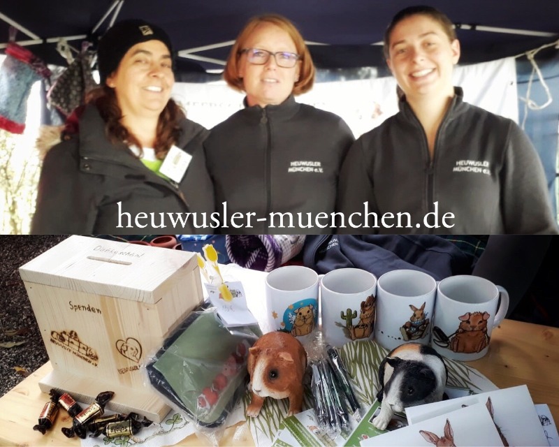 201910061InfostandHerbst