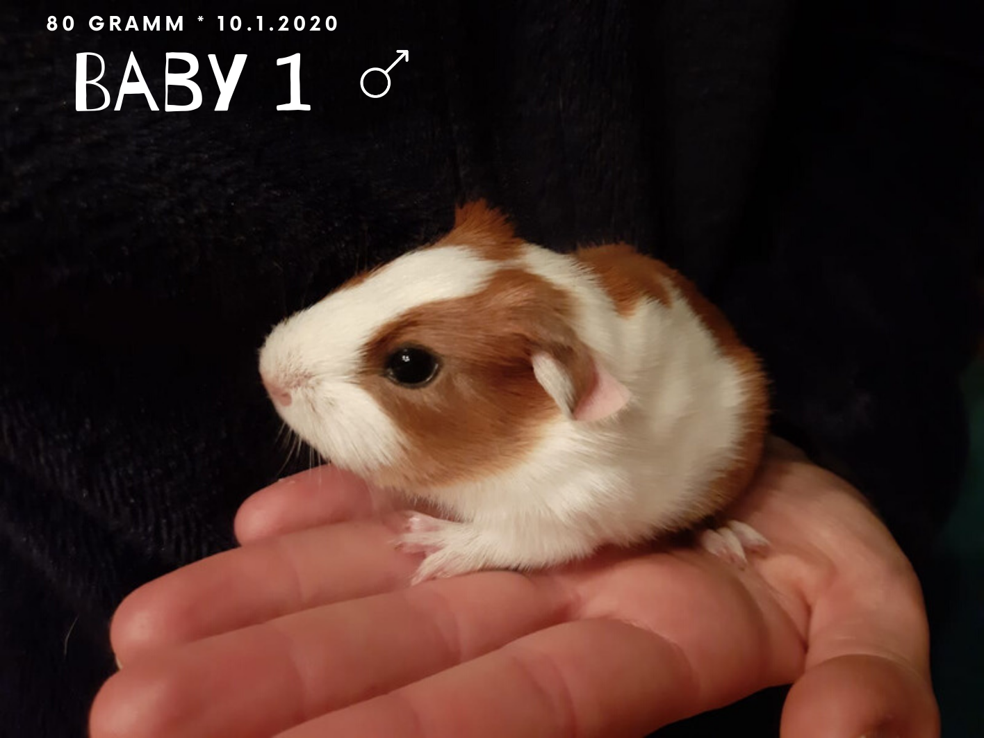 ChristlsBabys2001121