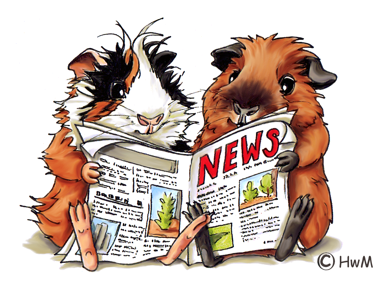logo news